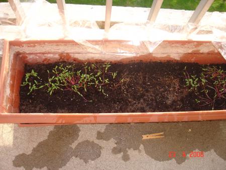 ouais ben septique !!!