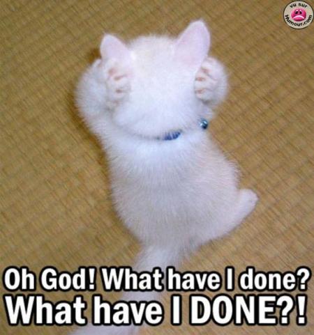 ouh la la pov tit minou