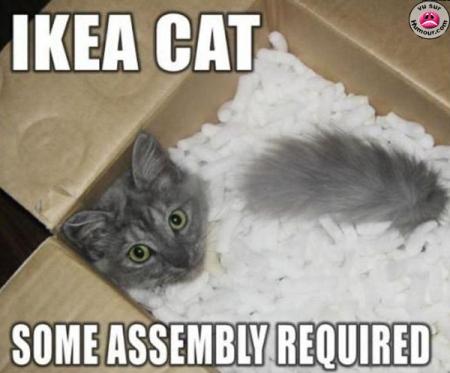 comment assembler un chat