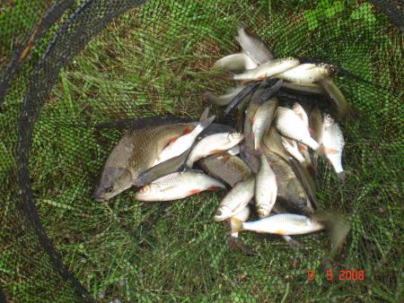 le fruit de la p�che