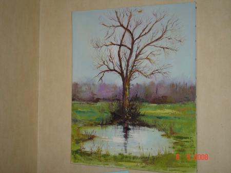 un arbre au milieu d'un champ