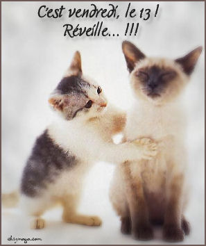 allez vendredi 13 mettez la chance de votre c�t�