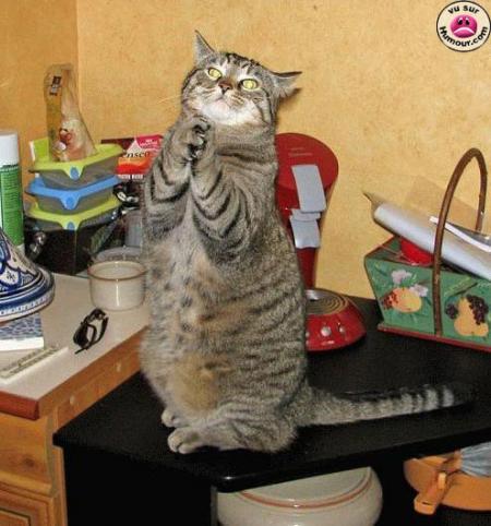 moment de recueillement