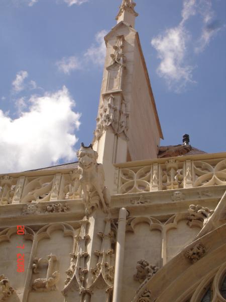 vu sur les gargouilles