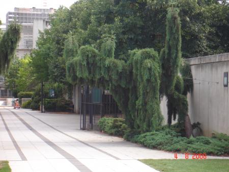 parc Andr� Citroen