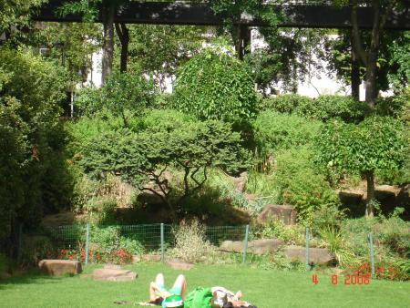 petit recoin du parc