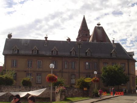 Munster et ses cigognes