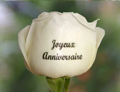 bon anniversaire amour que j'adore