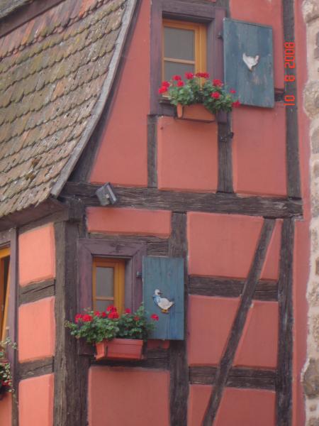 d�cor original aux fen�tres