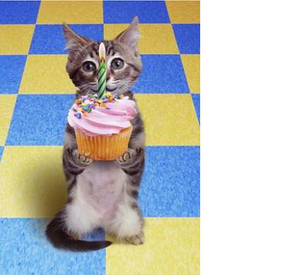 bon anniversaire mon loup d'amour