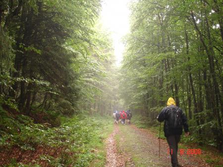 parcours du trac� du train du Honneck