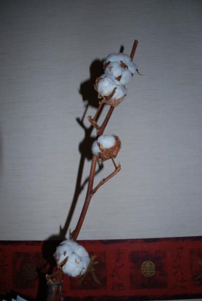 test de mon appareil