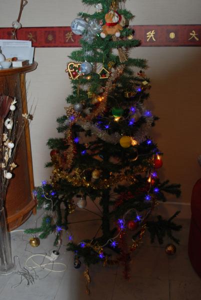 notre sapin de No�l