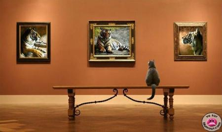 la galerie d'art sp�ciale