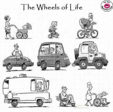 Les roues de la vie