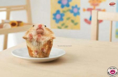 Muffins sp�cial chat 